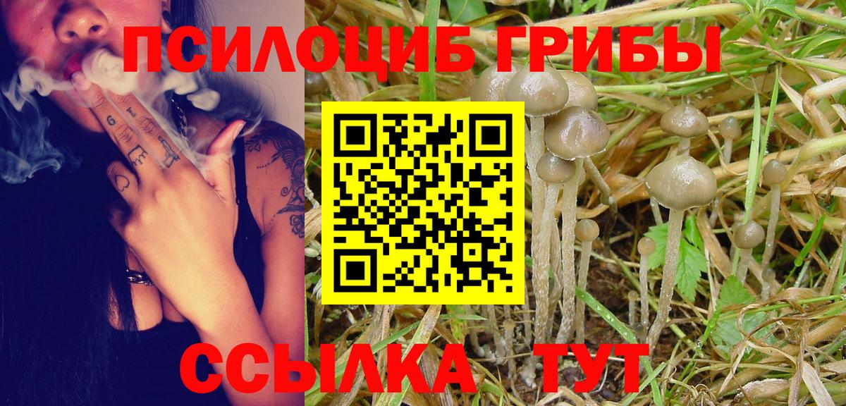 Лобня  Галлюциногенные грибы Psilocybine cubensis  Вход с VPN 