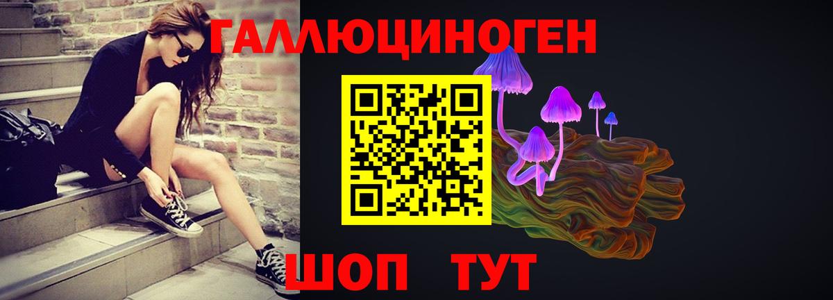 Псилоцибиновые грибы Psilocybine cubensis Лобня